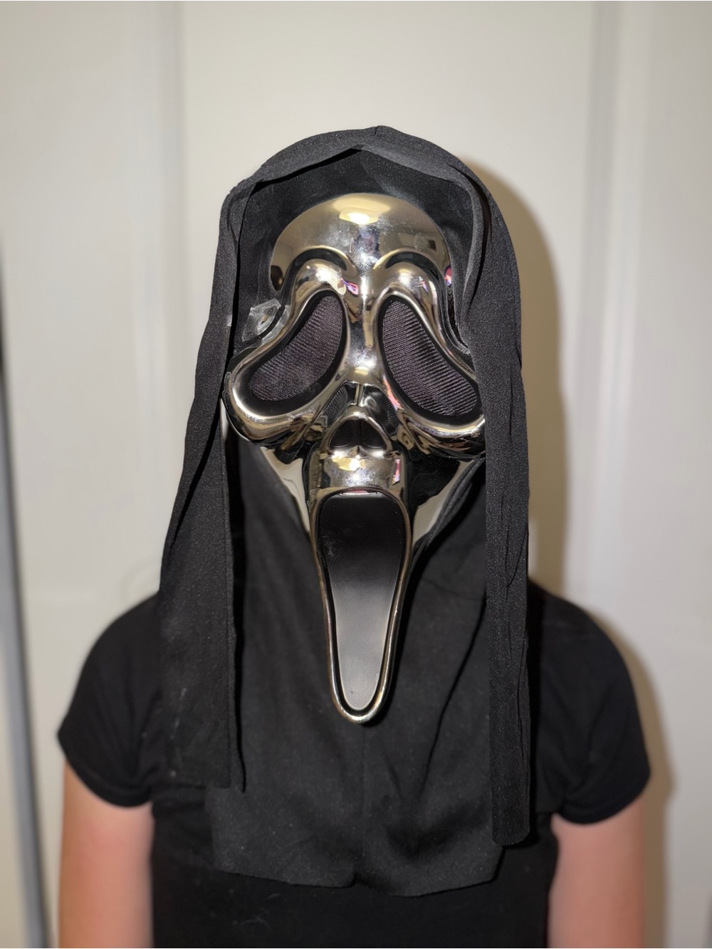 Fun World Ghost Face Chrome Silver Mask | One Size | Scream Halloween Costume